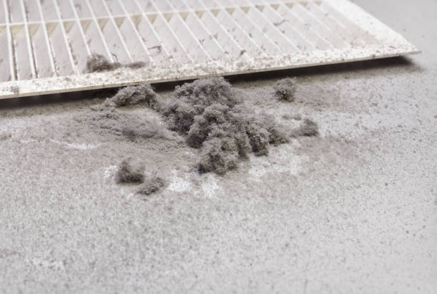 Best Local Air Duct Cleaning Services  in Rockingham, NC