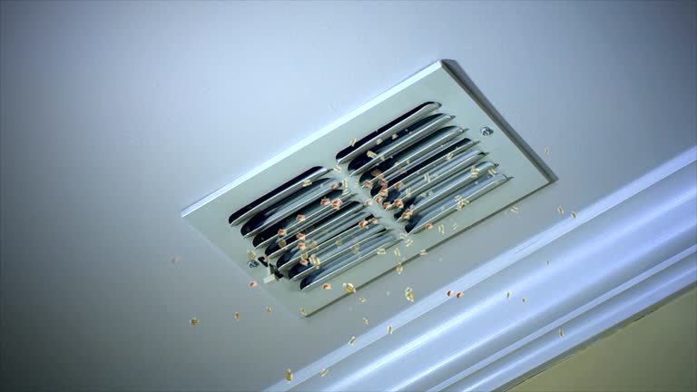 Home Air Vent Cleaning in Rockingham, NC